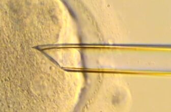 8 Healthy ‘Three-Parent’ Babies Born in UK Using Pioneering IVF Technique